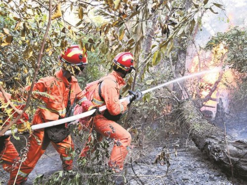 深圳森林消防隊伍馳援佛山森林火災(zāi)救援凱旋